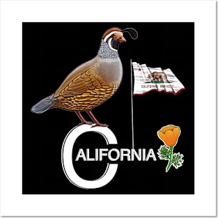 California quail state bird Californian poppy flowers Posters and Art